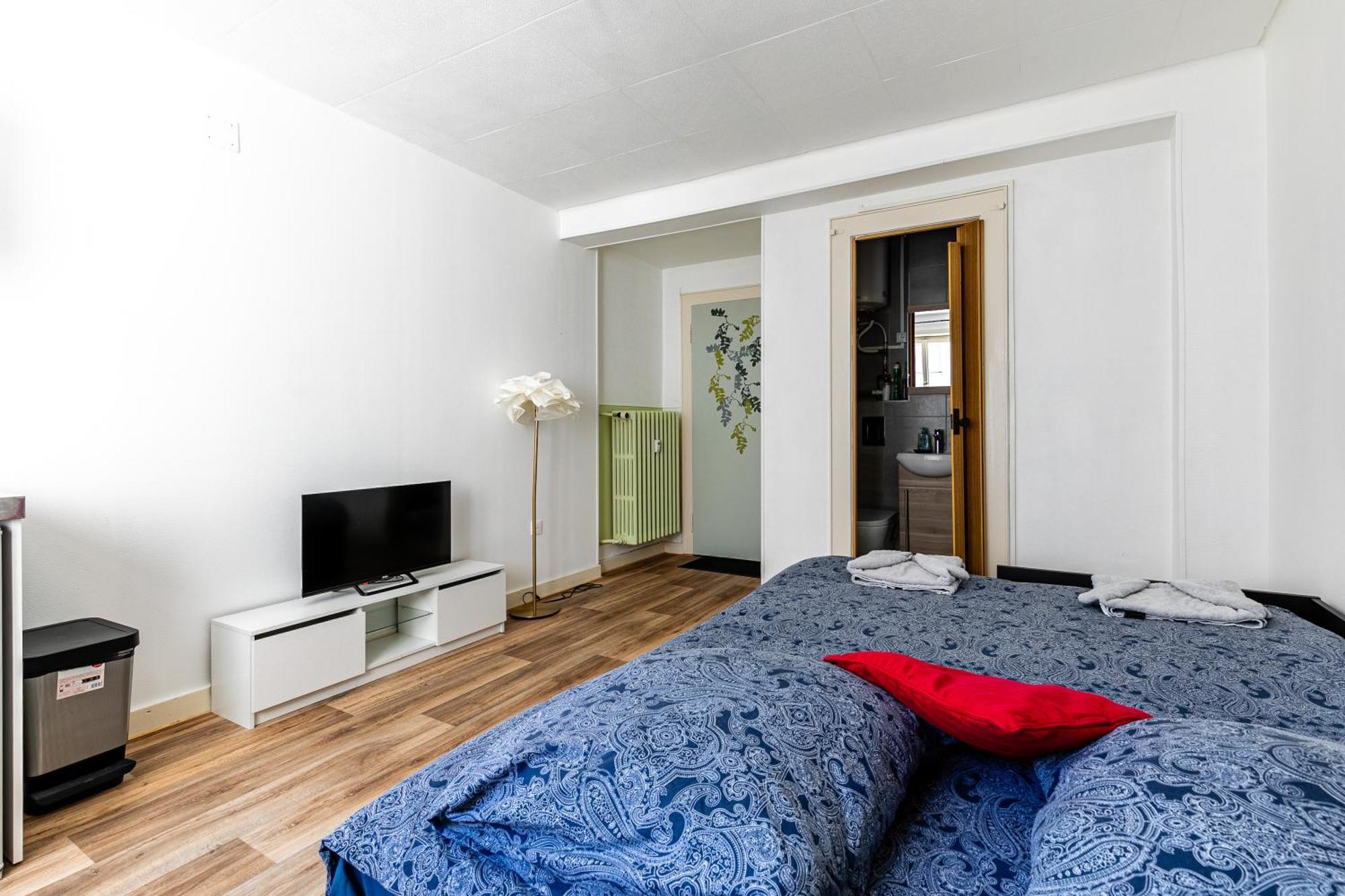 Studio Centre / Quartier Krutneau Strasbourg Eksteriør bilde